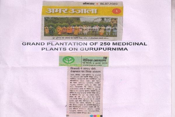 MVM Maharishi nagar's staff Planting Medicinal Plants on world Environment Day.